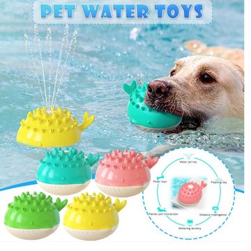 Electric Summer Water Floating Dog Toy