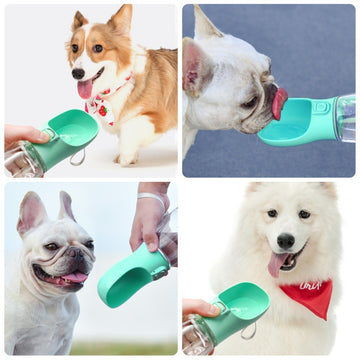 On-The-Go Leakproof Dog Water Bottle